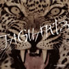 ???????[?GUAR'13