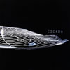waterweed[?CADA