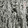 ??N?[???????????????????? [WPbgdl] [SHM-CD]