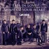 U-KISS[?ll in Love[?ape of your heart []