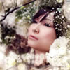 ??Y?[???????? [CD+DVD]