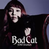 YOKO YAZAWA[?d Cat