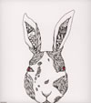TAMURAPAN[?muLAPIN [2CD+DVD] []