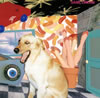 ????h??SANE DREAM f??゠ [SHM-CD]