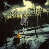 dip[?ue welt