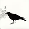 K??⺌?F???? [WPbgdl] [CD+DVD]