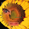 ???????????????????? [][p]
