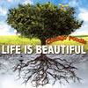 ??????????LIFE IS BEAUTIFUL