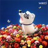 wacci[????