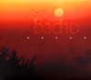 bacho[??J???? [fWpbNdl]