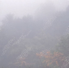 Chihei Hatakeyama[?st [WPbgdl]
