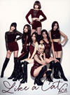 AOA[?ke a Cat [fWpbNdl] []