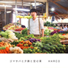 HARCO[????????@??Y^??? [WPbgdl]