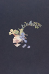 ARAKI Shin[?AYER