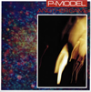 P-MODEL[?OTHER GAME [WPbgdl] [SHM-CD] []