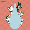 wacci[??C []