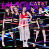 CARAT[?AGINES