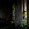 Hakobune[?Dirk Serries[?scured By Beams Of Sorrow [WPbgdl]
