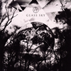 ??[?ASS SKY