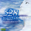 ACOON HIBINO[?ZUTAMAHIME Feat.䳂?]????????A??28Hz??