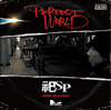 D?SP[?RFECT WORLD