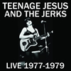 TEENAGE JESUS AND THE JERKS[?VE 1977-1979
