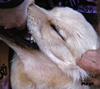 Christian Fennesz[?Jim O'Rourke[?s Hard For Me To Say I'm Sorry [fWpbNdl]