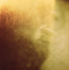 Chihei Hatakeyama[?Corey Fuller[?photic [WPbgdl]