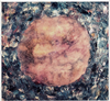 AKIRA KOSEMURA[?MENTARY[?Memories of the Beginning [CD+DVD]