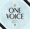 ???[?E VOICE 2