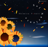Shimizu Yukari[?l Naciente [WPbgdl]
