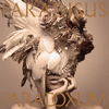 MYTH[?ROID[?RADISUS-PARADOXUM