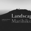 Marihiko Hara[?ndscape In Portrait