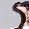 Salley[?ear