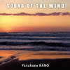 ???O?[?UND OF THE WIND