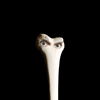 ???????????[????? [WPbgdl] 