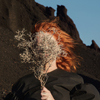 GOLDFRAPP[?lver Eye