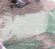 bohemianvoodoo[?hoes [CD+DVD]