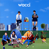 wacci[??????