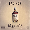 BAD HOP[?bb Life