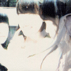 ????CD [WPbgdl]