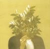 FKJ[?ENCH KIWI JUICE