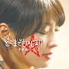 X???L?[????????????? [WPbgdl]