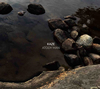 KAZE[?ODY MAN [WPbgdl]