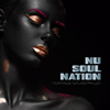 T-GROOVE[?TWO JAZZ PROJECT[? Soul Nation