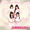 V?S????O???[?tus Bloom