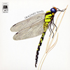 ???????????????????[?4] [WPbgdl] [SHM-CD] []