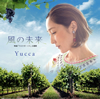 Yucca[????