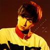?????????????????????? [CD+DVD] []