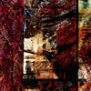 Merzbow[?vironmental Percussion Vol.1 [WPbgdl]